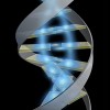 Picture for song 'Electrorganimatic' by artist 'Tim Briggs'
