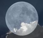 Picture for song 'Forget About the Moon' by artist 'TK Major'