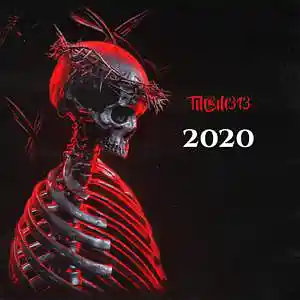 Picture for song '2020' by artist 'TMBM313'