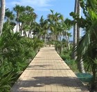 Picture for song 'Same Path (open verse)' by artist 'T-MIX'