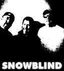Picture for song 'Black Magic Woman - Snowblind Version' by artist 'Todd Weller'