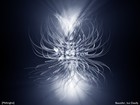 Picture for song 'Spirit of the Wind (Guitar Mix)' by artist 'Tom Aragon'