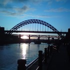 Picture for song 'Live Without Love' by artist 'Tom Bradley'