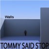 Picture for song 'Disappear' by artist 'TOMMY SAID STOP'