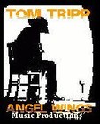 Picture for song 'My Elusive Dreams' by artist 'Tom Tripp'