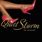 Picture for song 'Quiet Storm' by artist 'Travlife Music Group'