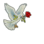 Picture for song 'Even a soldier would cry' by artist 'Triple-Cutt'