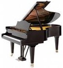 Picture for song 'Piano-Long Version' by artist 'Tyrone Warner'