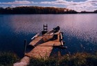 Picture for song 'TUMBLEWEED FRIEND' by artist 'Uncle Steve'