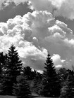 Picture for song 'Riding On A Cloud' by artist 'UnderCover Dream'