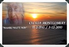 Picture for song 'Without You (Memorial Song)' by artist 'Unstop Recordz'