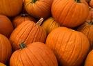 Picture for song 'Pumpkins (parts 1-3)' by artist 'USB'