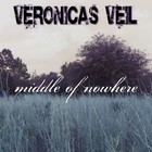 Picture for song 'Echoes' by artist 'Veronicas Veil'