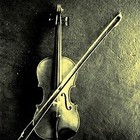 Picture for song 'The Yoko Ono Of The Violin - Part One' by artist 'Vile Jelly'