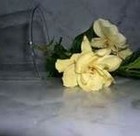 Picture for song 'Call It a Day2.mp3' by artist 'Visibly Shaken'