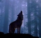 Picture for song '(turn your back on) the psychopath' by artist 'Visibly Shaken'