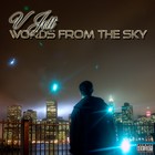 Picture for song 'Get Fly' by artist 'VJett'