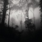 Picture for song 'SoCold' by artist 'Voppa Lucci'