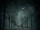 Picture for song 'Running Down the Road Tonight' by artist 'Wallace Everitt'