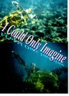 Picture for song '15 024 I Could Only Imagine' by artist 'WebWorks James Stonecipher'