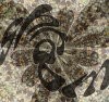 Picture for song 'Shroom - Vertical horizon' by artist 'weirdBEAT'