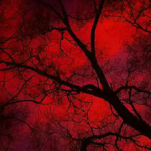 Picture for song 'PlayboiCarti x KanyeWest Type Beat -Vampire Nights' by artist 'WHAT?BOYBEATS'