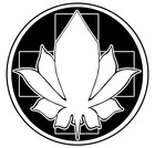 Picture for song 'Trooper' by artist 'white lotus'