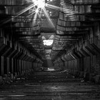 Picture for song 'Trap Motivated' by artist 'Wicked Apollo Productions'