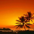 Picture for song '*NEW* Paradise (Live guitar by Will Dynamite)' by artist 'Will Dynamite'