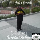 Picture for song 'I'm Will Hustle Pt 2' by artist 'Will Hustle'