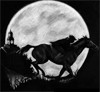 Picture for song 'Stroke of Midnight' by artist 'Winter's Edge'