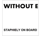 Picture for song 'STAPHILEY ON BOARD' by artist 'WITHOUT E'