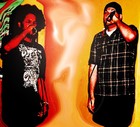 Picture for song 'Walls Have Ears' by artist 'Wyte Gold aka Dub G'