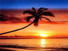 Picture for song 'Solnedgang (DnB Remix)' by artist 'Xenogenocide'