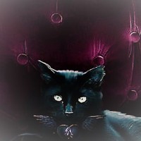 Picture for song 'Astray' by artist 'X Trackt Eric Maxwell'