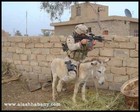 Picture for song 'el kalam dah' by artist 'Y'