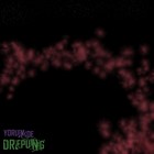 Picture for song 'IX Hidden treasure of the madness' by artist 'Yorukoe'