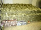 Picture for song '**NEW CLUB BANGER** Dumb Rich Beat (FREE DL)' by artist 'YOUNGSTARR PRODUCTIONS'