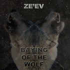 Picture for song 'So Down' by artist 'Ze'ev (US)'