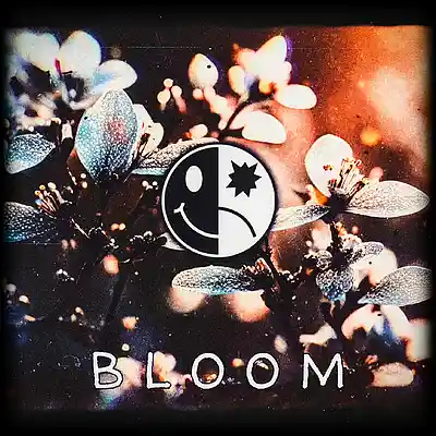 Picture for song '" B L O O M "' by artist 'B L A C K W 3 L L'