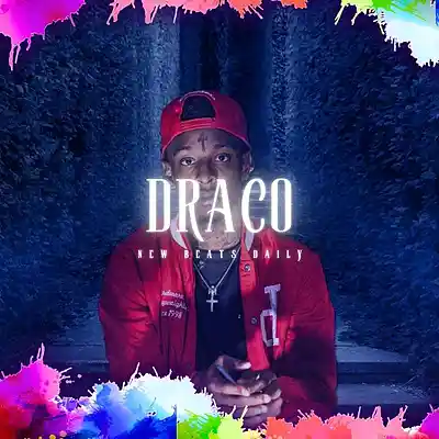 Picture for song 'Draco' by artist 'Brandnew Beats'