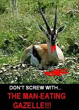 Picture for song 'No Sensitivity (old demo)' by artist 'Freya's Wrath'