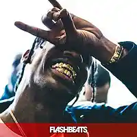 Picture for song 'So Icey (BUY 1 GET 1 FREE!)' by artist 'FlashBeats.net'