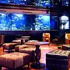 Picture for song 'Different Scene' by artist 'Fly High Beats'