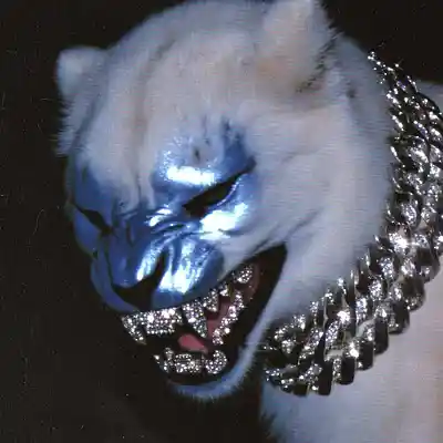 Picture for song '''WILD''' by artist 'GIOEST'