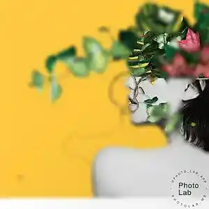 Picture for song 'willow' by artist 'Oson'