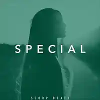 Picture for song 'SPECIAL' by artist 'Scorp Beatz'