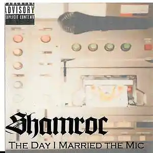 Picture for song 'The 2nd Chapter' by artist 'Shamroc'