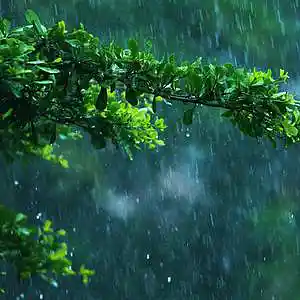 Picture for song 'RAIN Sad type Beat, 6lack type beat, Smooth type' by artist 'SNAKES GROUP'