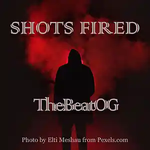 Picture for song 'Shots Fired' by artist 'TheBeatOG'